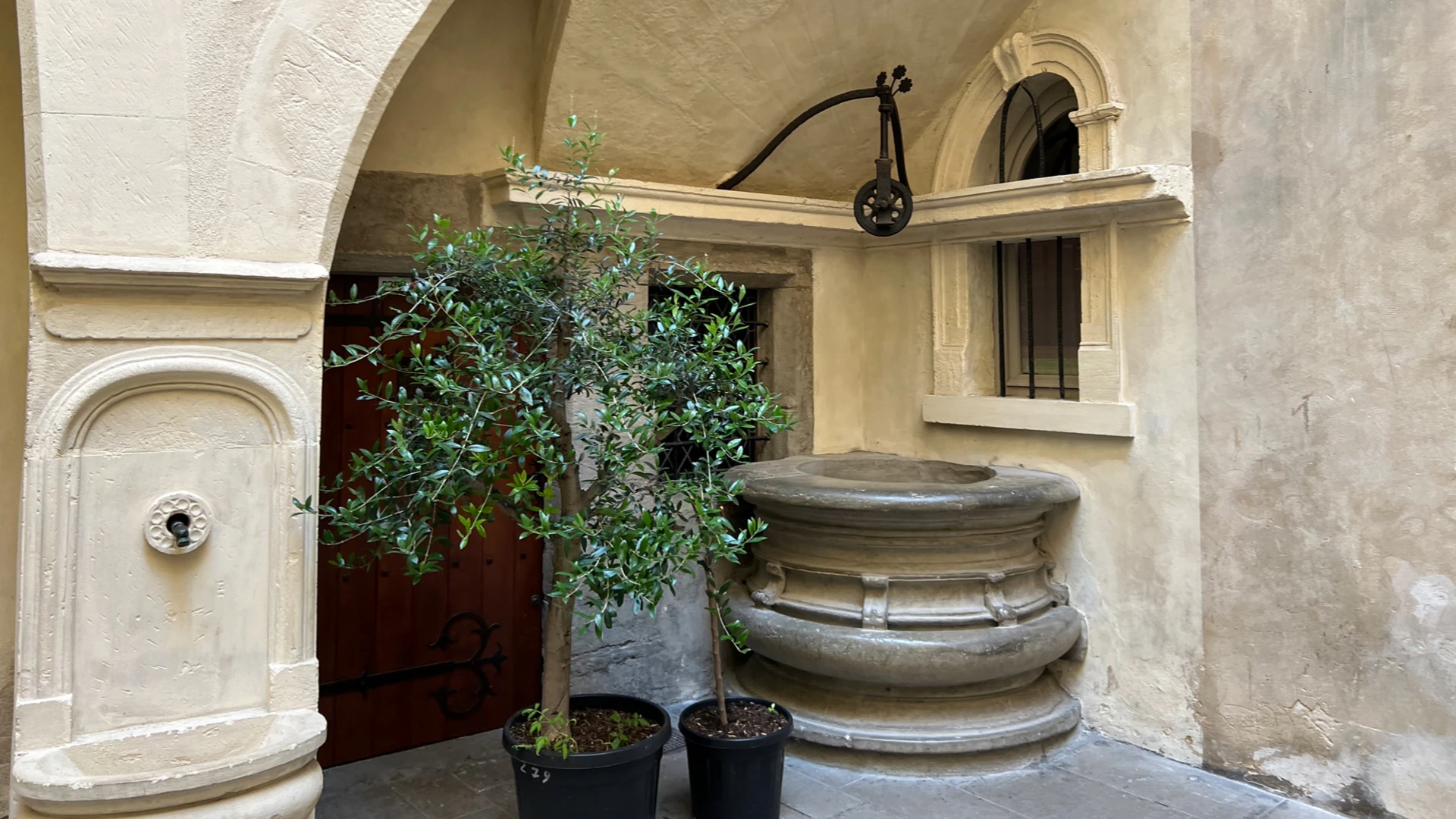 A traboule courtyard with a stone well and a plant.